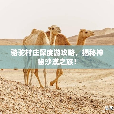 饭来张口 第2页