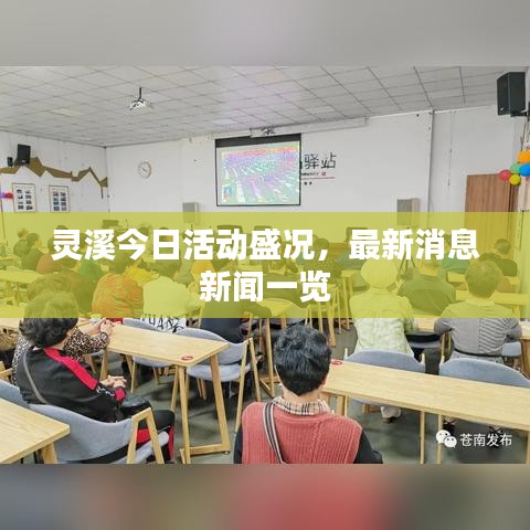 admin 第3页