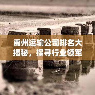 禹州运输公司排名大揭秘，探寻行业领军者的成功秘诀！