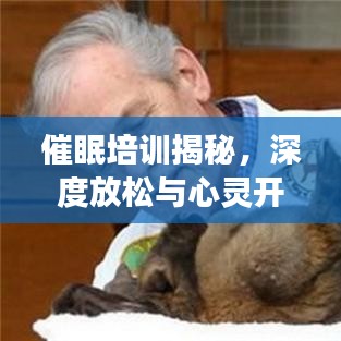 难能可贵 第2页