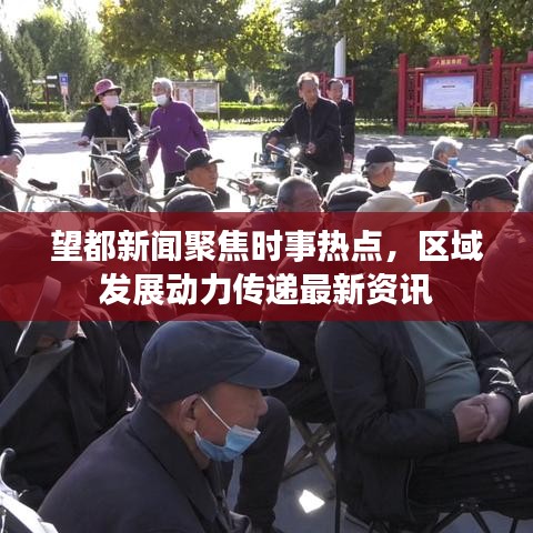 望都新闻聚焦时事热点，区域发展动力传递最新资讯