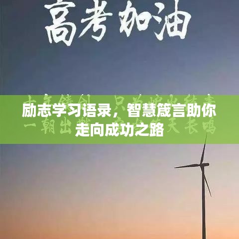 第911页