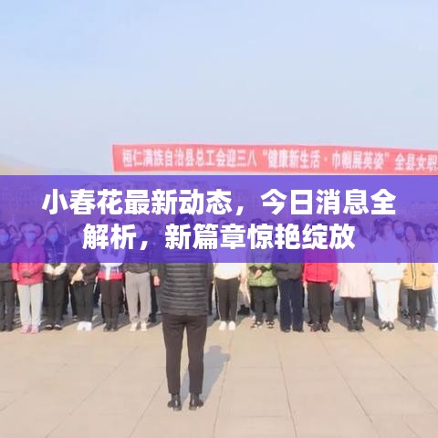 刬旧谋新 第2页