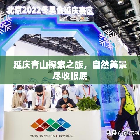 延庆青山探索之旅，自然美景尽收眼底