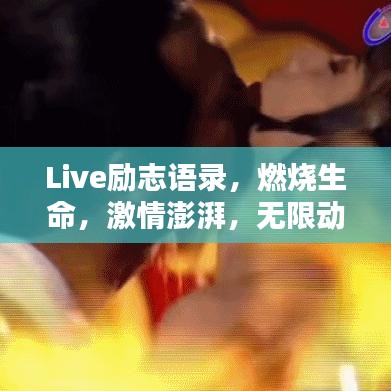 2025年5月2日 第11页