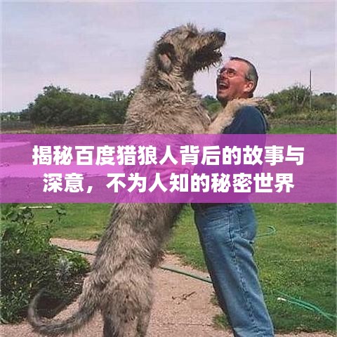 2025年5月2日 第7页