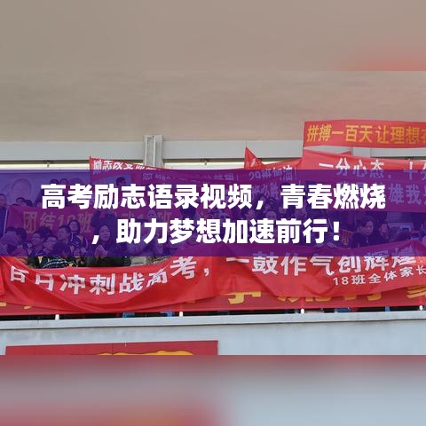 十年磨剑 第2页