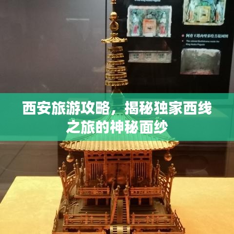 2025年5月3日 第10页