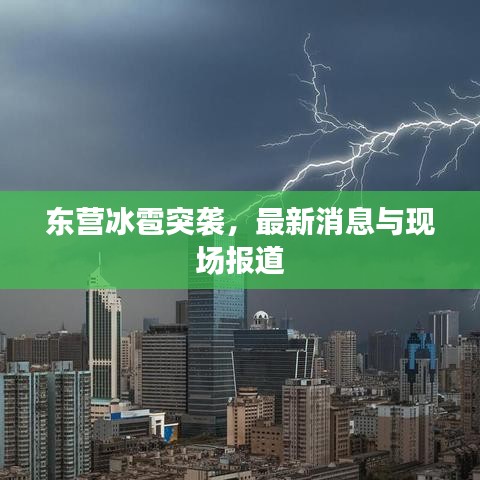 2025年5月3日 第8页
