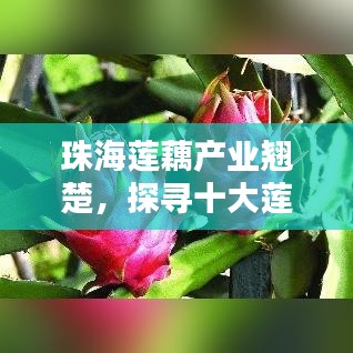 2025年5月5日 第12页