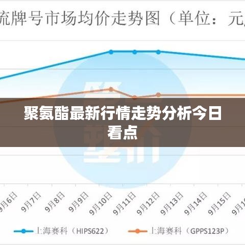 2025年5月6日 第13页