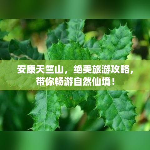 2025年5月6日 第2页
