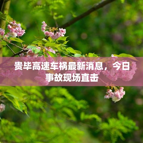 贵毕高速车祸最新消息，今日事故现场直击