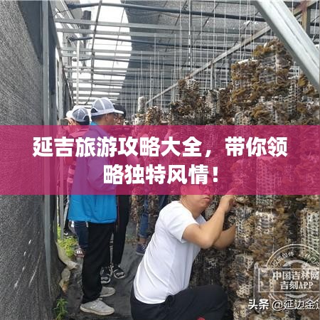 延吉旅游攻略大全，带你领略独特风情！