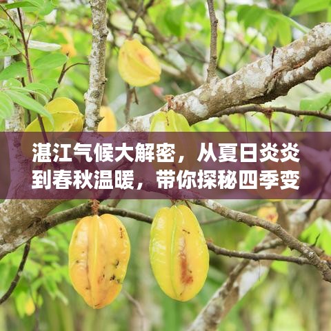 2025年5月7日 第5页