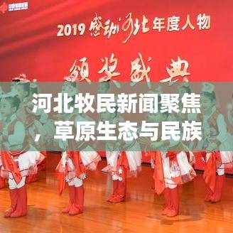 河北牧民新闻聚焦，草原生态与民族文化的和谐交融之美