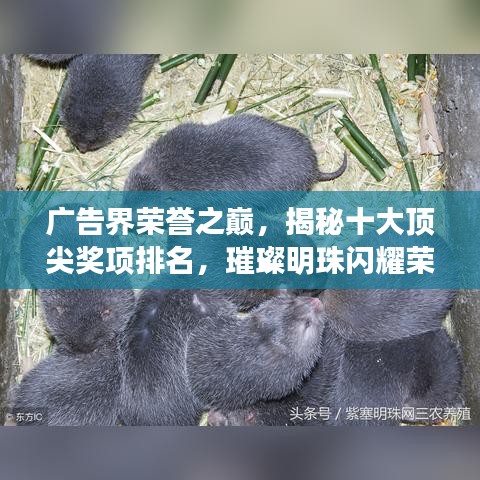 2025年5月8日