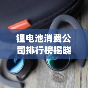 第493页