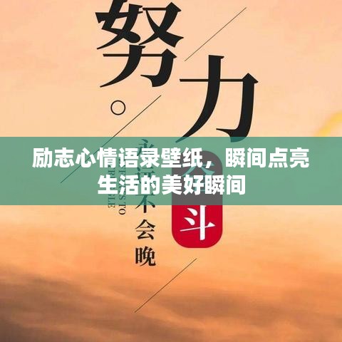 2025年5月10日 第10页