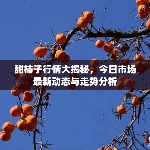 2025年5月10日 第5页