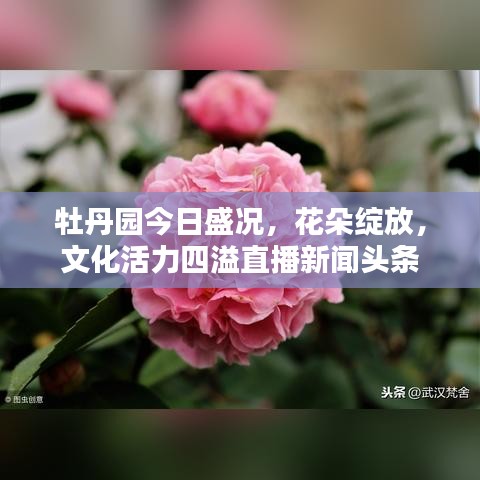 马马虎虎 第2页