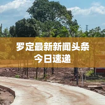 飞禽走兽