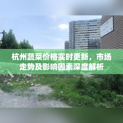 2025年5月14日
