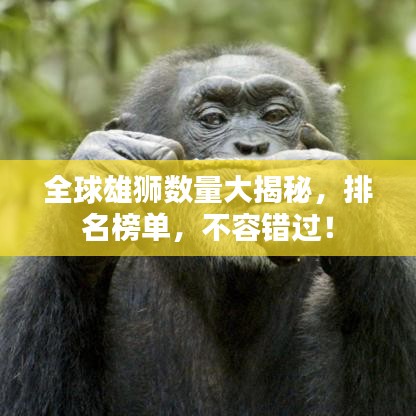 2025年5月15日