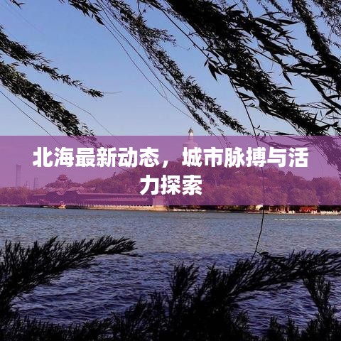 鸟集鳞萃