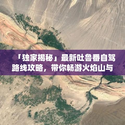 知错就改