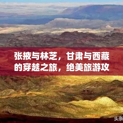 井底之蛙