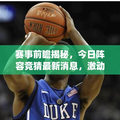 毛手毛脚