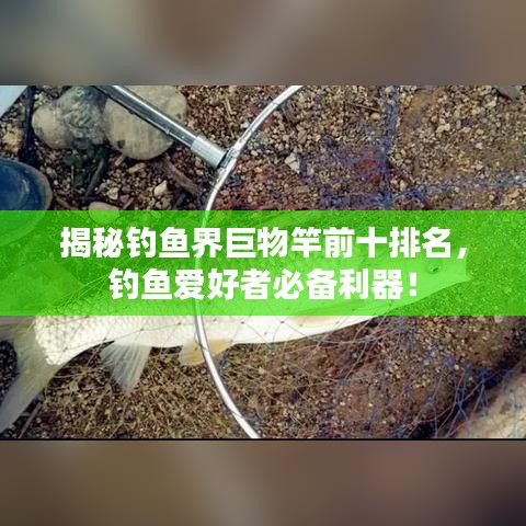 豪门贵胄 第2页