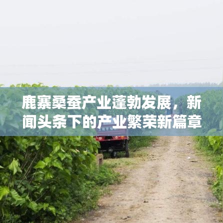 避凶就吉