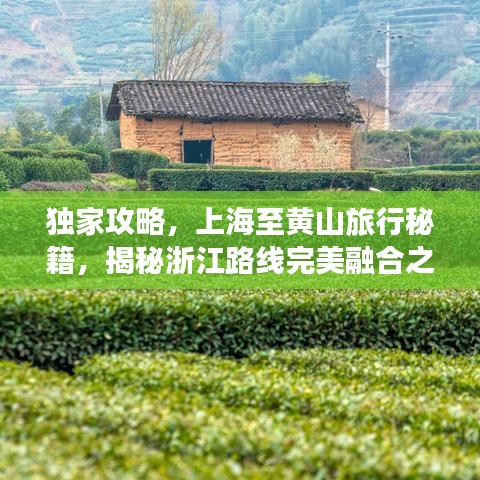 束手就缚