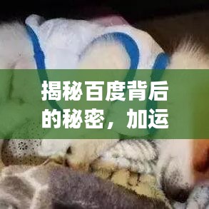 朴素无华