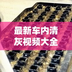 天潢贵胄