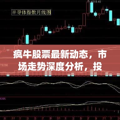 2025年5月18日 第13页