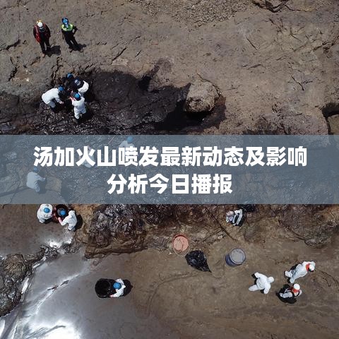 碧瓦飞甍