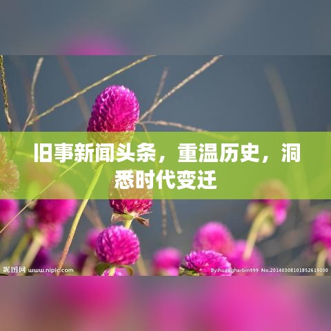标新竖异