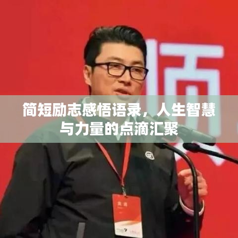熊经鸟申
