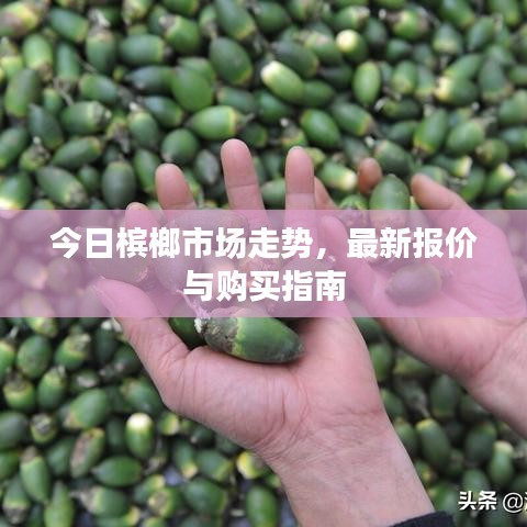 鸟啼花怨