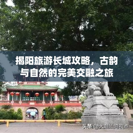 破衲疏羹
