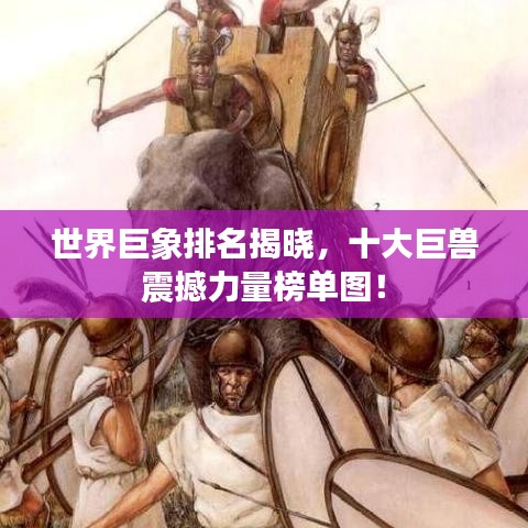 贵不期骄