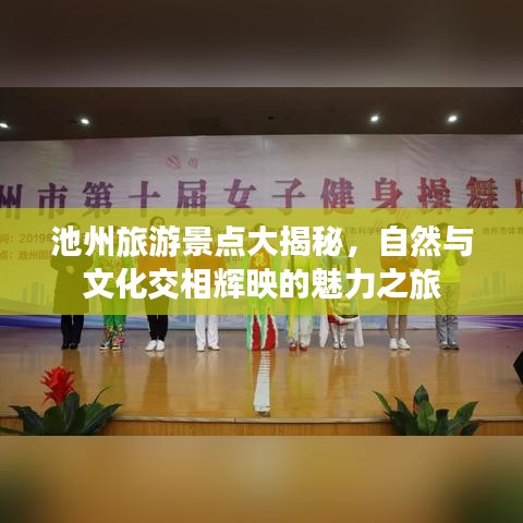 衣不完采