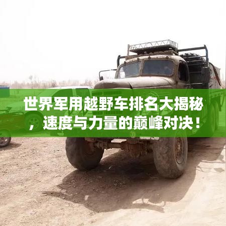 乌鸟私情