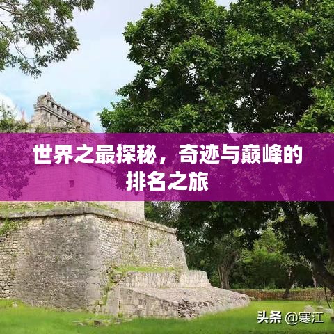 洵属可贵