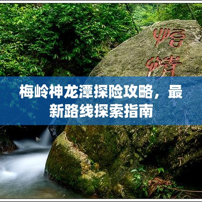 张王李赵
