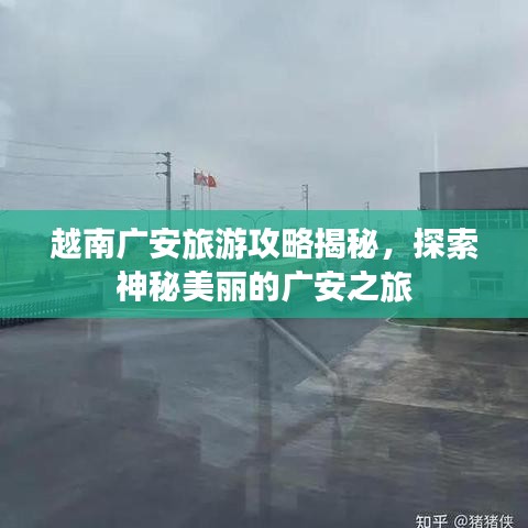 鸟之将死