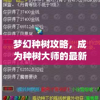 张张屈屈